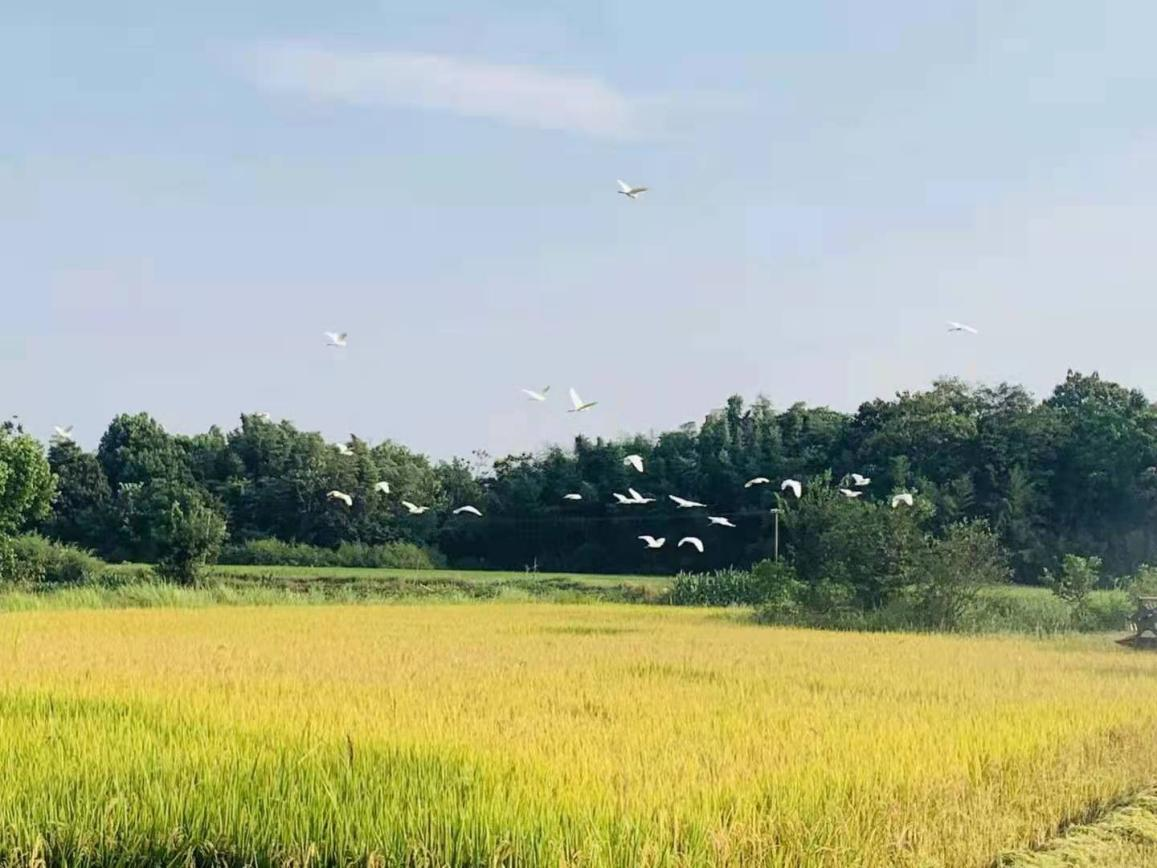 圖片16.png