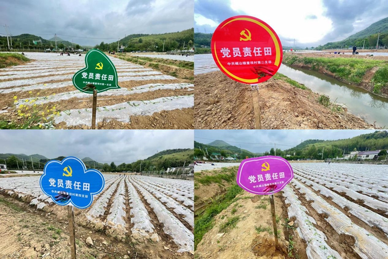 圖片2.jpg